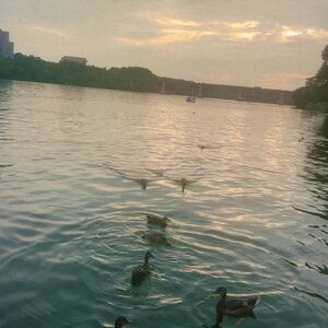 Meet your Posher, Blake